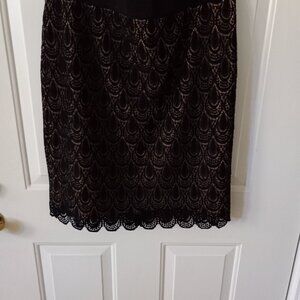 Ann Taylor Lined Lace Scalloped Hem Skirt